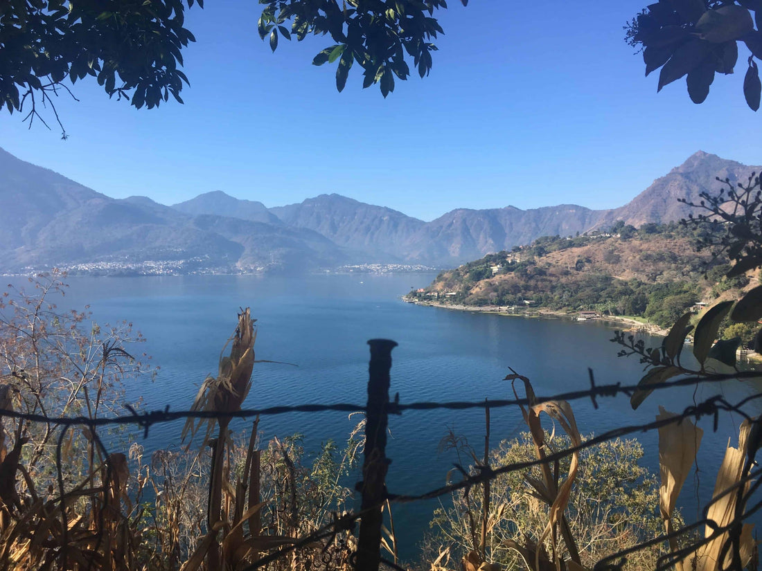 Roasters and Coffee Farmers Meet To Take On Climate Change