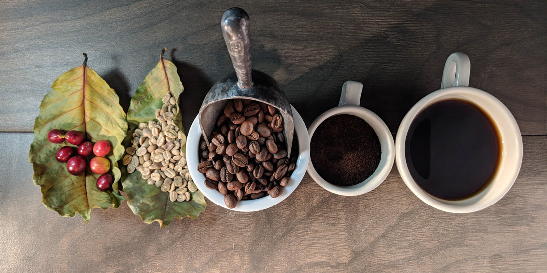 Image of coffee cherries from green to roasted, to a brewed cup of coffee