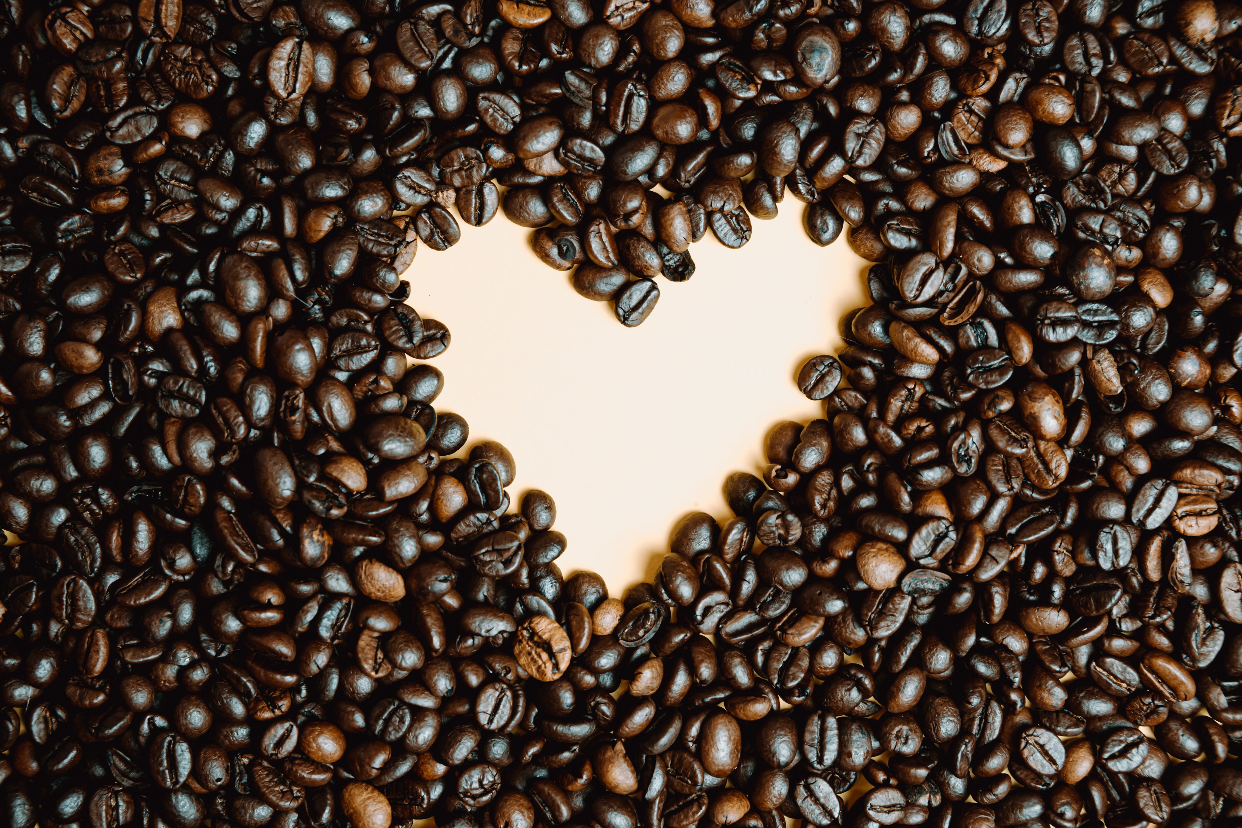 Soul Shaker – Just Coffee Cooperative