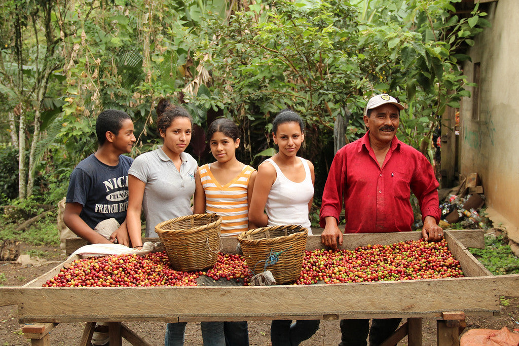 Coffee farming family 