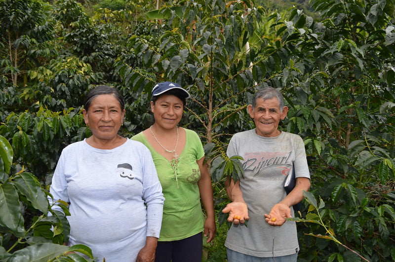 Image of coffee farmers from CENFROCAFE in Peru 